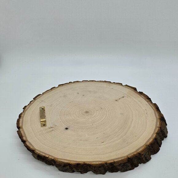 Highland cow wood burned art 8 x.75 in Round, live edge - Picture 7 of 9